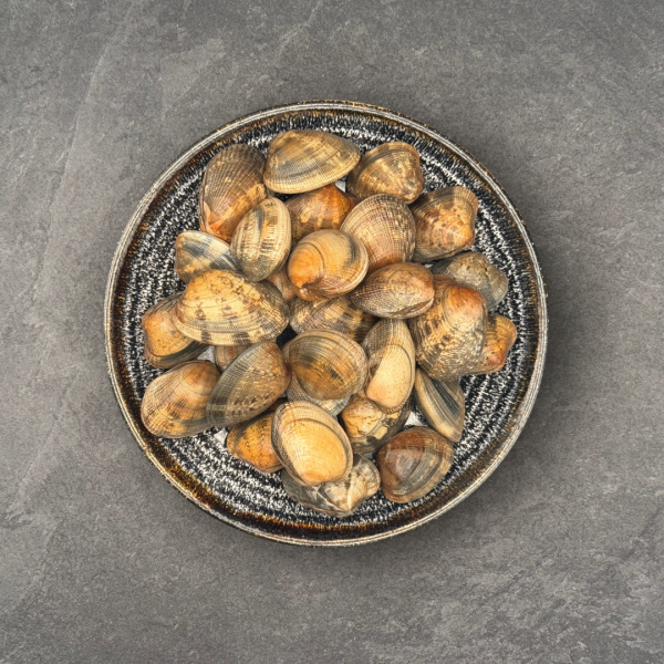 Vongole