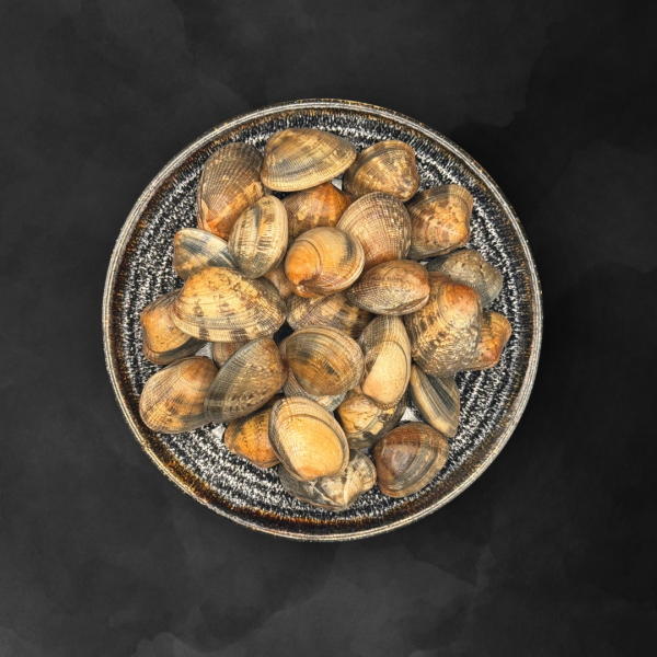 Vongole